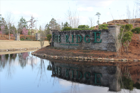 The Ridge lake martin